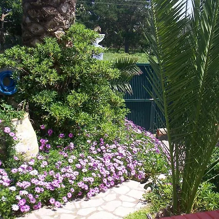 Seahorse Bay Beach Villa Halikounas